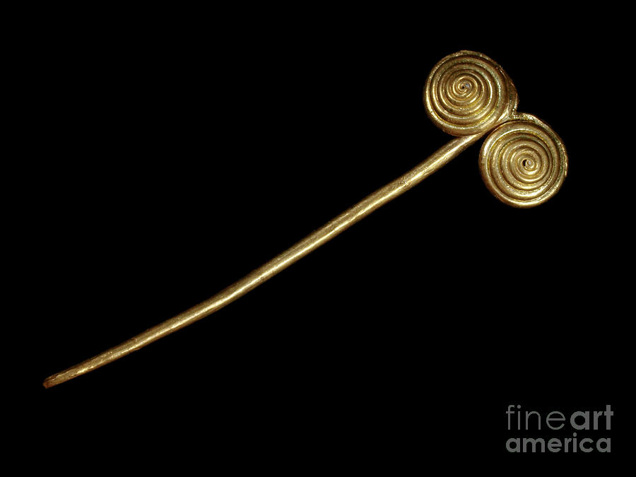 Gold Pin From Cueva Mayor Site #1 Photograph by Javier Trueba/msf/science Photo Library
