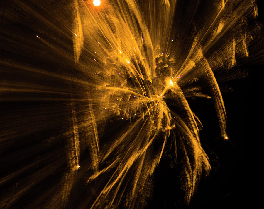Burst of Golden Light Photograph by Yulia Kazansky - Fine Art America