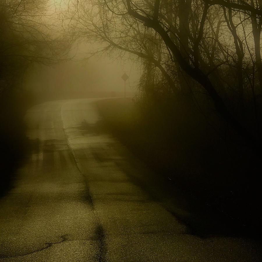 Golden Fog #1 Photograph by Jack Wilson