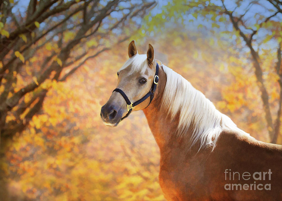 Palomino Digital Art - Golden Spirit #2 by Melinda Hughes-Berland