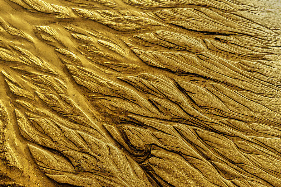 Abstract Photograph - Golden Traces In The Sand #1 by Bodo Balzer