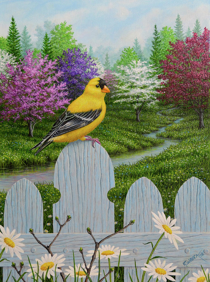 Bird Photograph - Goldfinch And Daisies #1 by Robert Wavra