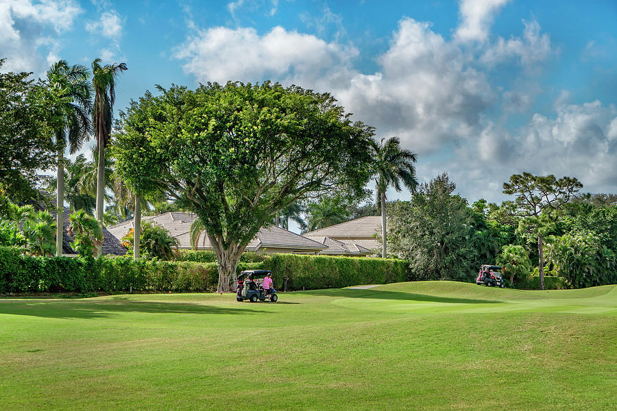 Golf Course, Boca Raton, Florida #1 Digital Art by Laura Zeid