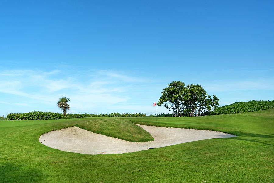 Golf Course In Palm Beach #1 Digital Art by Laura Zeid