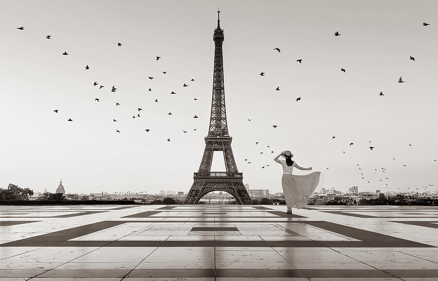 Paris Photograph - Good Morning Eiffel #1 by Kenneth Zeng