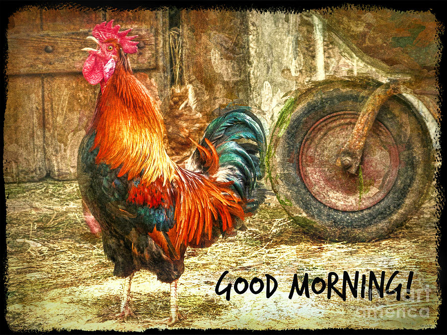 Good Morning Rooster Digital Art by Tina LeCour