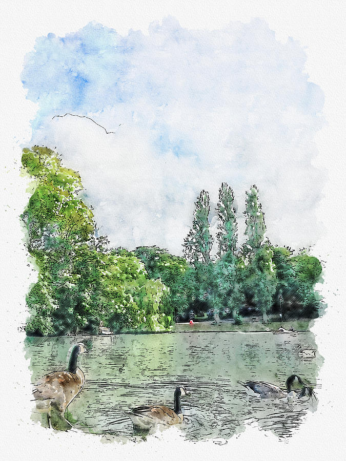 Goose Digital Art - Goose #watercolor #sketch #goose #nature #1 by TintoDesigns