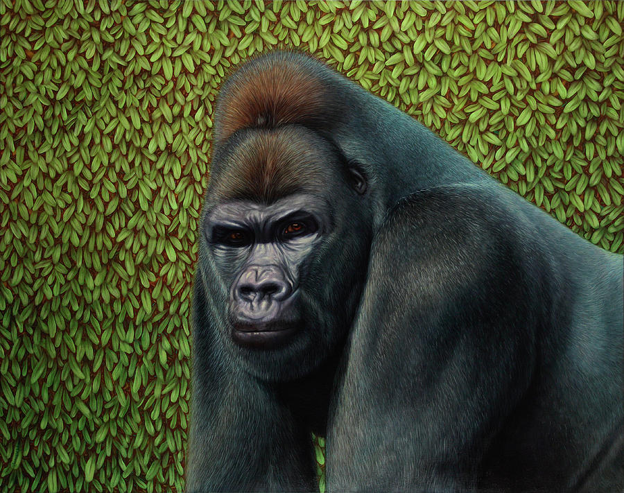 Gorilla Mixed Media - Gorilla With A Hedge #1 by James W. Johnson