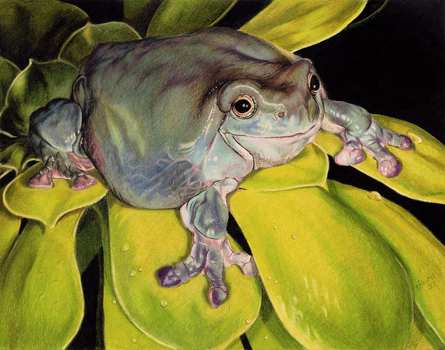 Frog Painting - Got Bugs? #1 by Barbara Keith