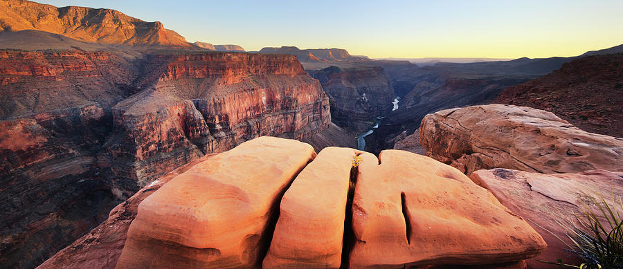 Grand Canyon, Arizona, Usa #1 Digital Art by Maurizio Rellini