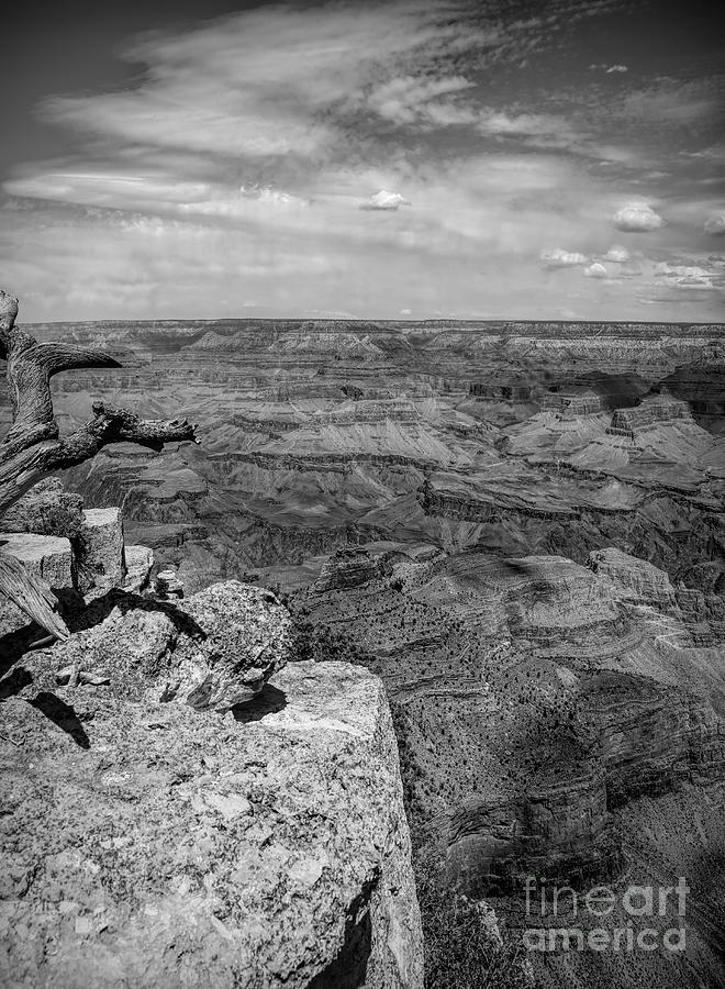 Grand Canyon Black White  #1 Photograph by Chuck Kuhn