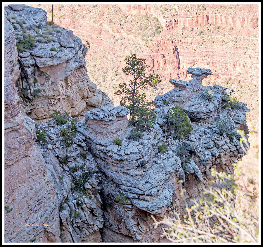 Grand Canyon Cliff Wall, Arizona #1 Photograph by A Macarthur Gurmankin