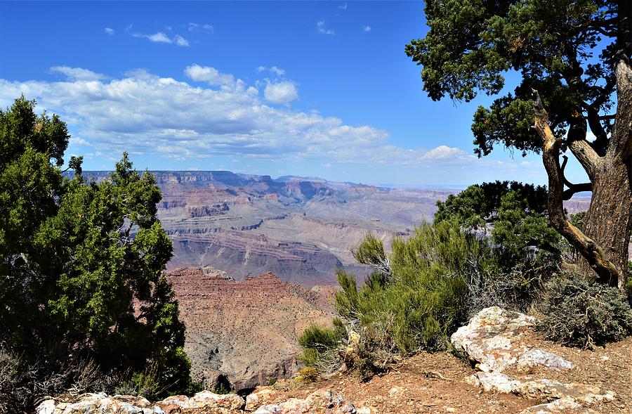 Grand Canyon Color #1 Photograph by Warren Thompson
