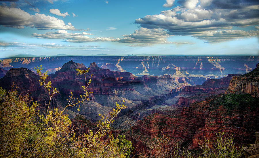 Grand Canyon - North Rim Photograph by Jennifer Stackpole - Fine Art ...