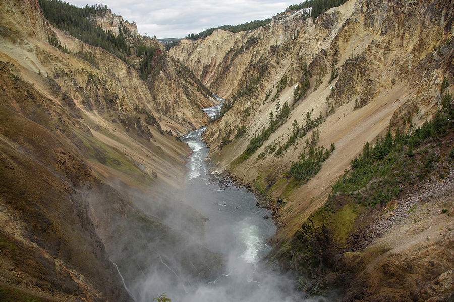 Grand Canyon Of The Yellowstone Photograph