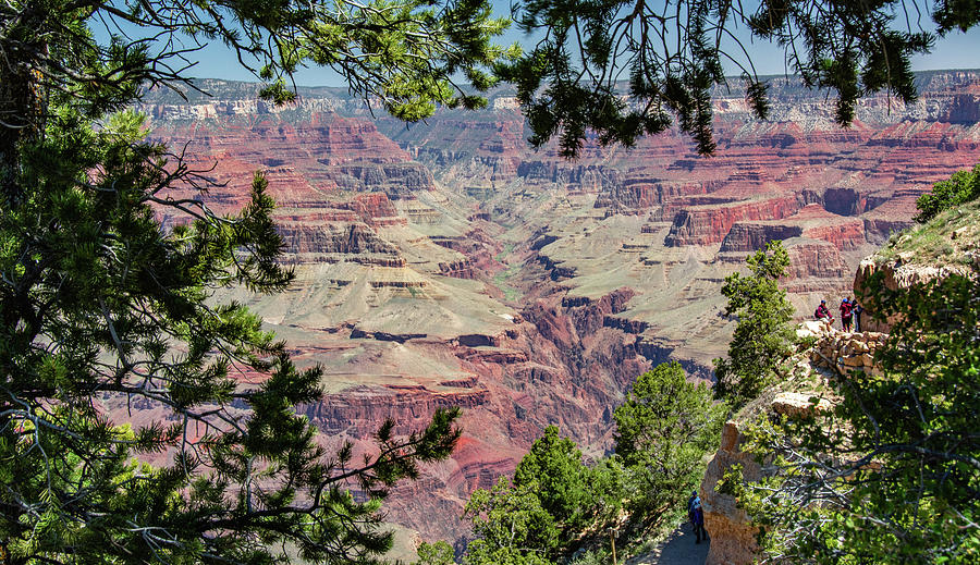 Grand Canyon Peek #1 Photograph by Marcy Wielfaert