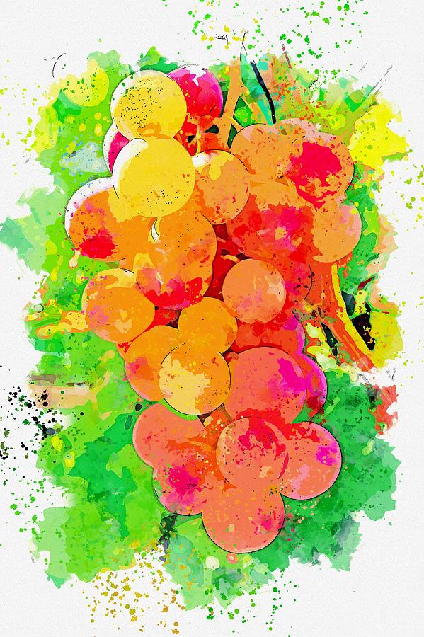 Grape -  watercolor by Ahmet Asar #1 Painting by Celestial Images