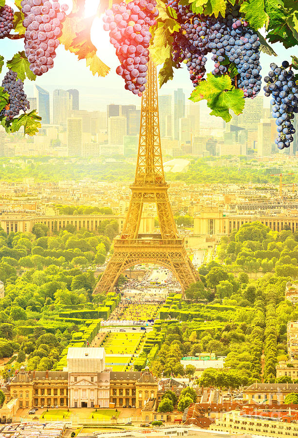 Grapes hanging in Paris #1 Photograph by Benny Marty