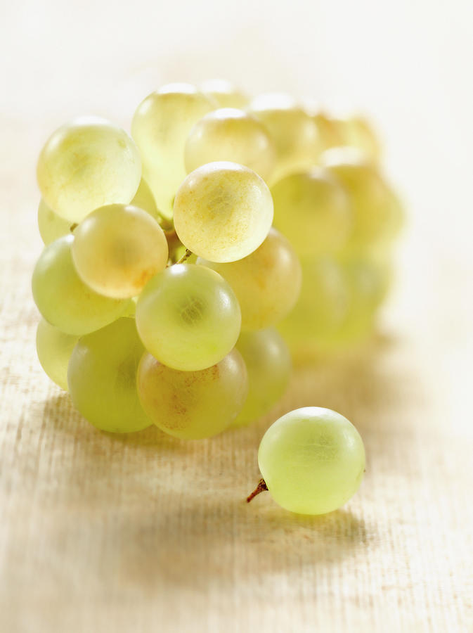 Fruit Photograph - Grappe De Raisin Blanc Bunch Of White Grapes #1 by Studio - Photocuisine
