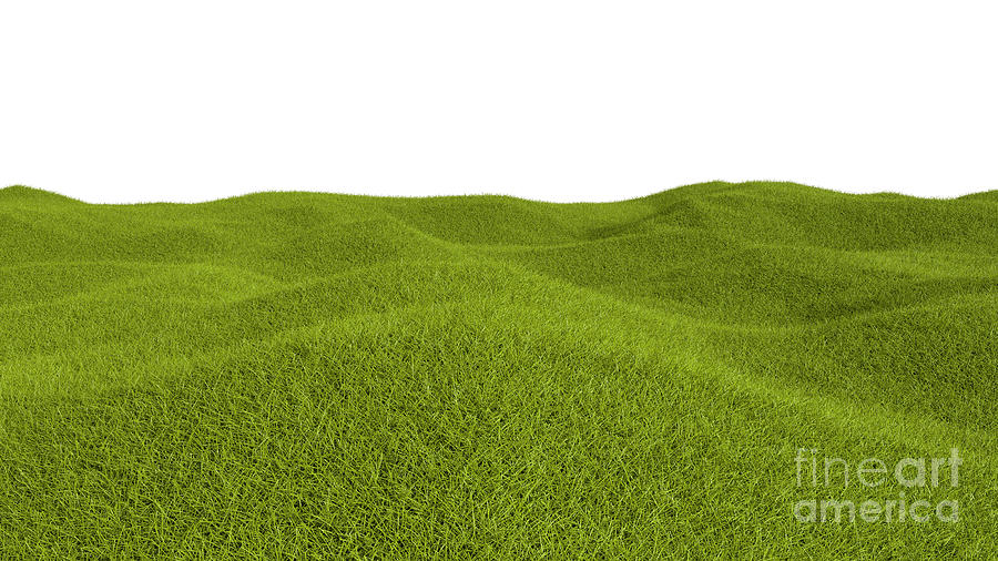 Grass Landscape #1 Photograph by Jesper Klausen / Science Photo Library