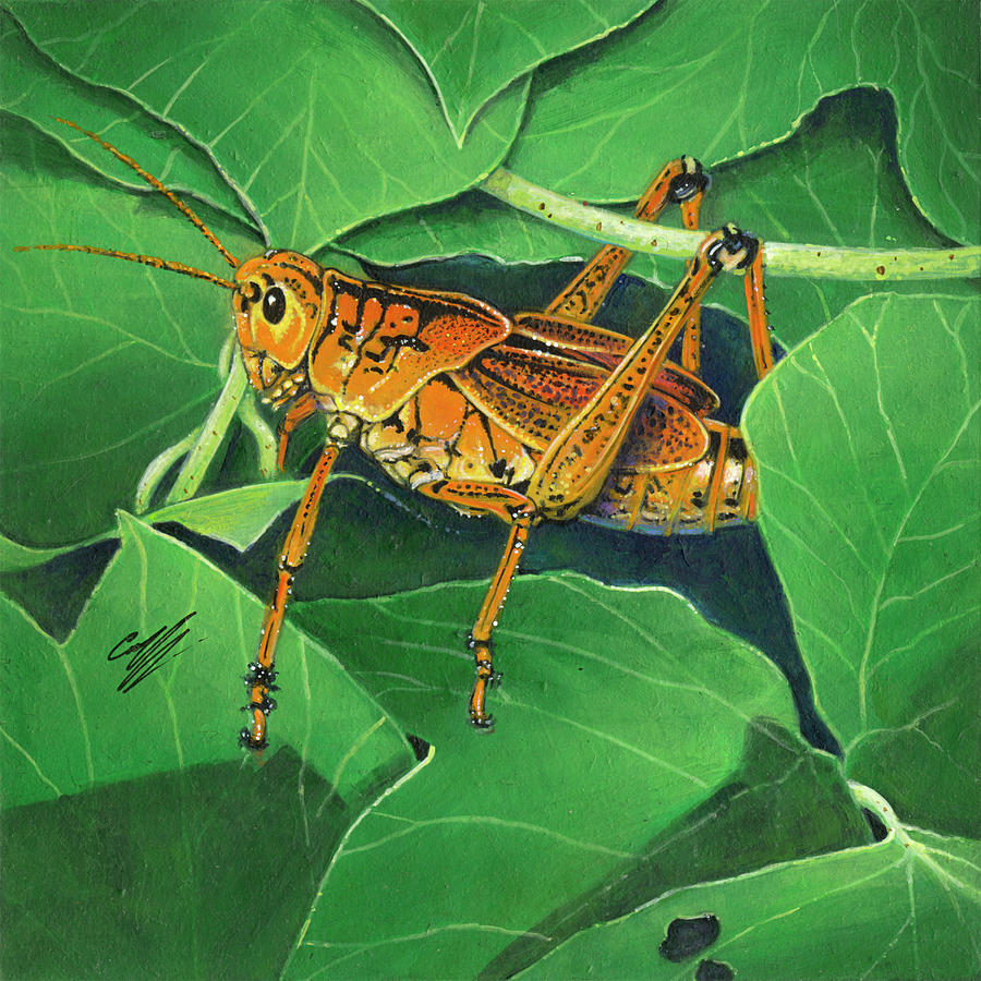 Grasshopper Painting - Grasshopper #1 by Durwood Coffey
