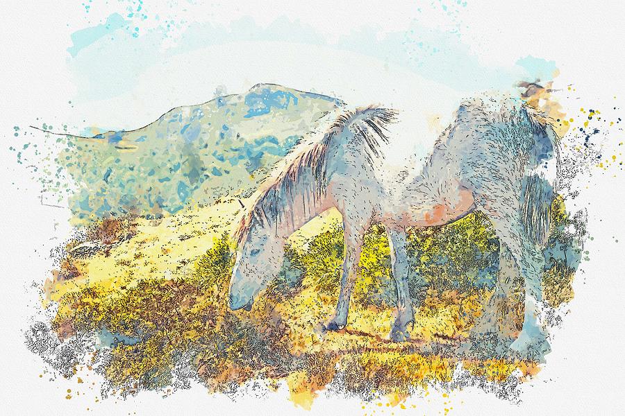 gray horse grazing -  watercolor by Adam Asar #1 Painting by Celestial Images