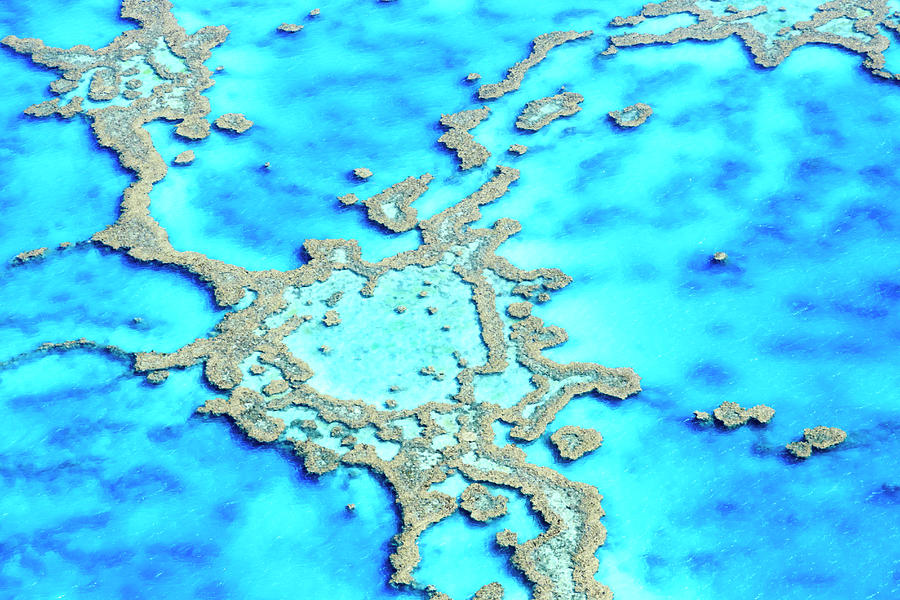 Great Barrier Reef In Australia #1 Digital Art by Maurizio Rellini