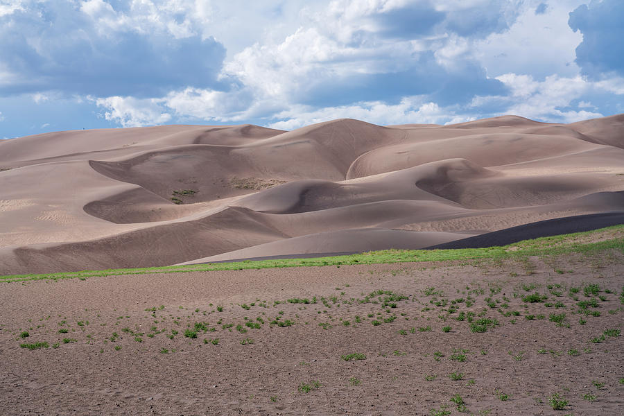 Great Sand Dunes National Park in Colorado #1 Photograph by Kyle Lee