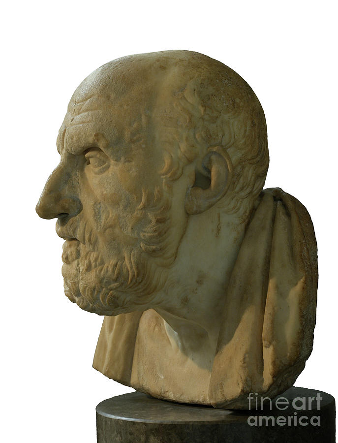 Greek Stoic Philosopher #1 Photograph by David Parker/science Photo ...