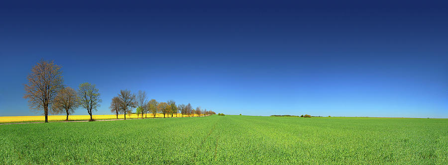 Green Field Landscape #1 Photograph by Konradlew