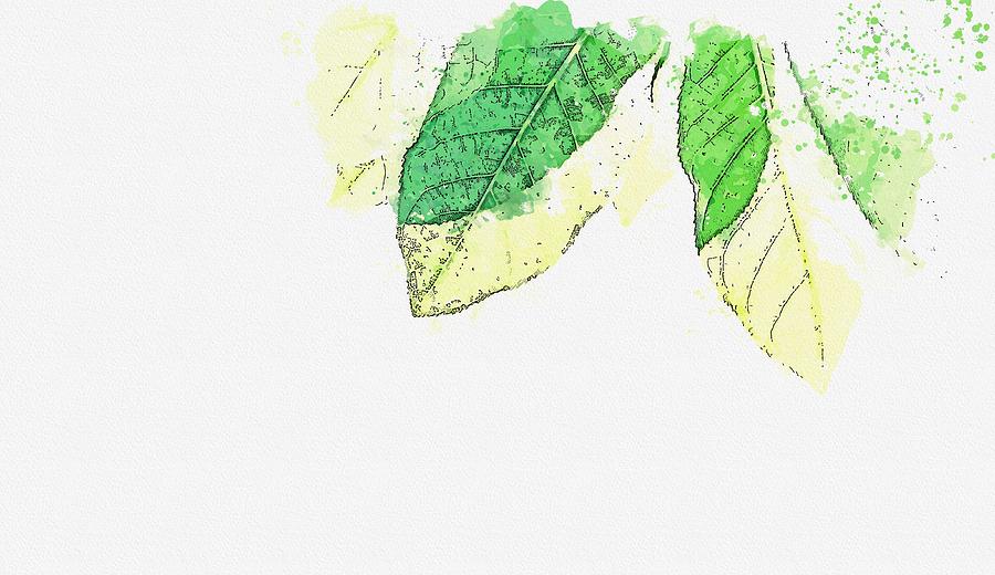 Green Leafed Plants -  watercolor by Adam Asar #1 Painting by Celestial Images