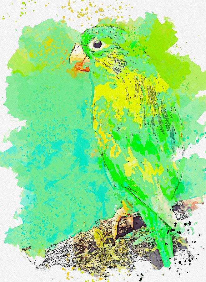 Green Macaw -  watercolor by Ahmet Asar #1 Painting by Celestial Images