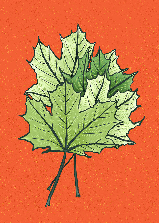 Green Maple Leaves On Vibrant Orange Digital Art by Boriana Giormova