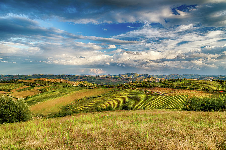 Green rolling hills    #1 Photograph by Vivida Photo PC