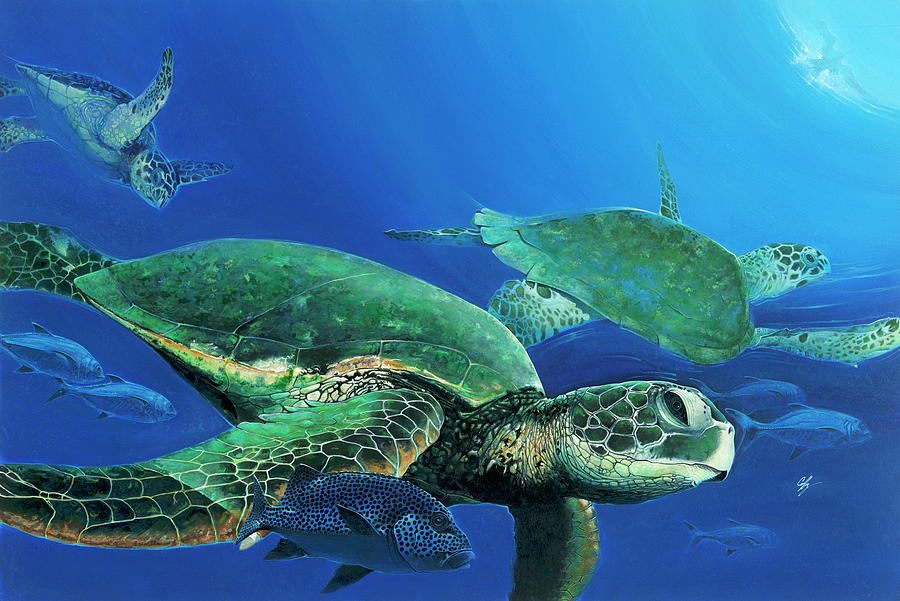 Green Sea Turtles Painting - Green Sea Turtles #1 by Durwood Coffey
