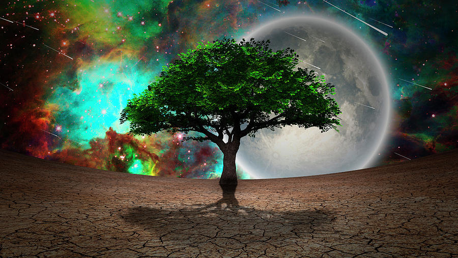 Green Tree Of Life In Arid Land. Full #1 Photograph by Bruce Rolff