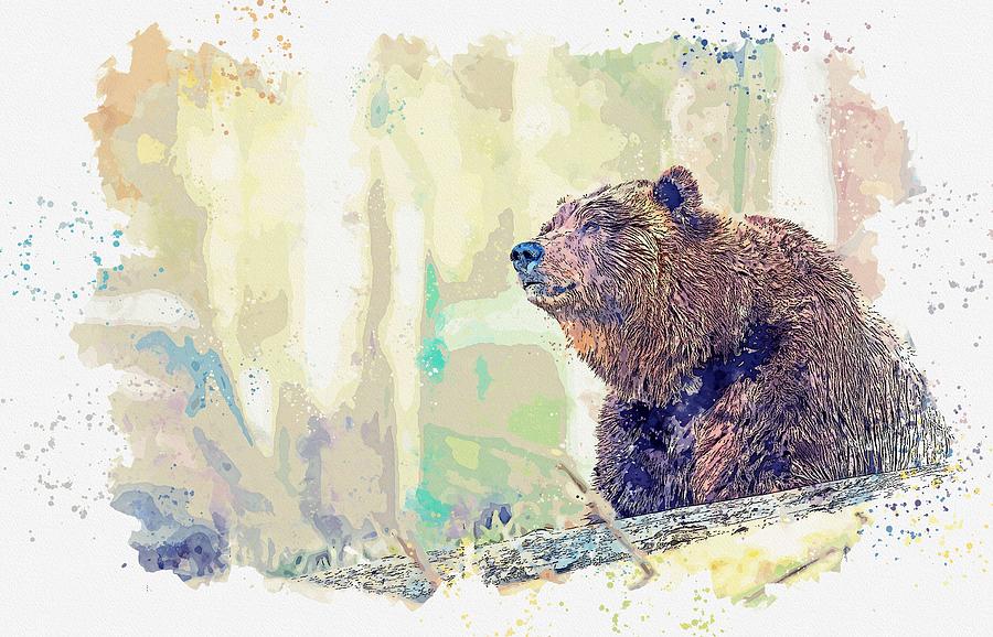 Grizzly Bear, watercolor by Adam Asar #1 Painting by Celestial Images