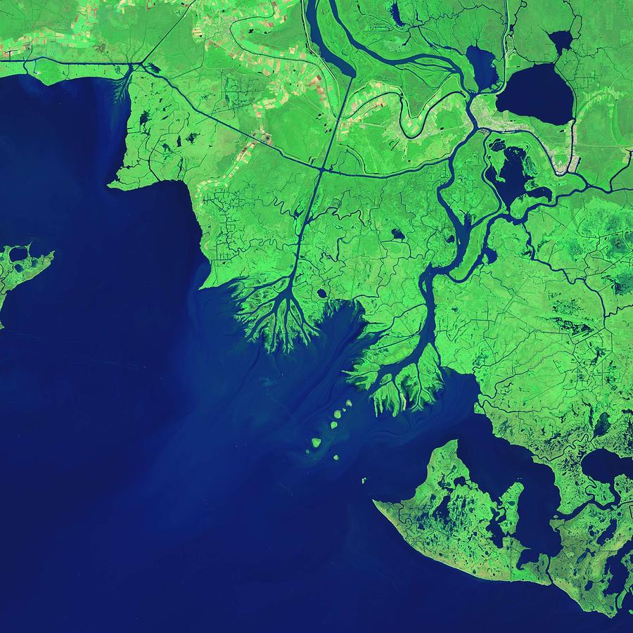 Growing Deltas in Atchafalaya Bay by NASA #1 Painting by Celestial Images