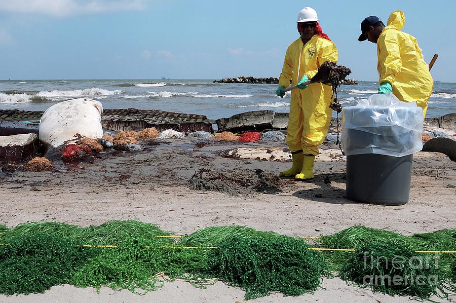 Gulf Of Mexico Oil Spill Clean-up #1 Photograph by U.s. Coast Guard/science Photo Library