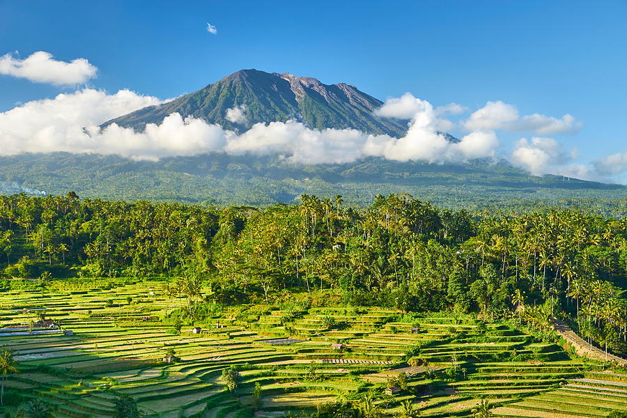 Gunung Agung Volcano And Rice Terraces Photograph by Jan Wlodarczyk ...