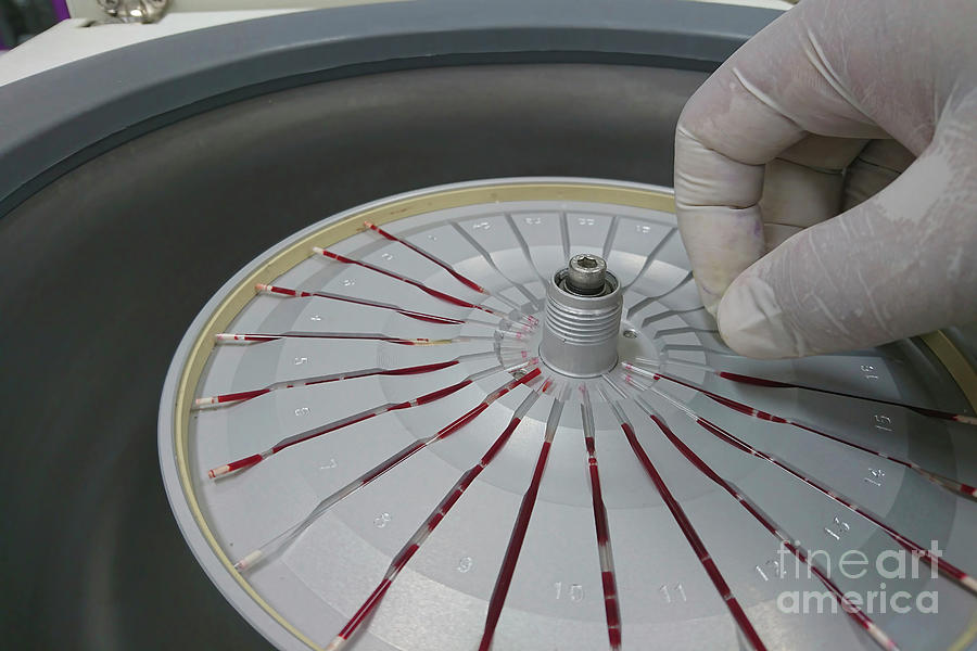 Haematocrit Centrifuge Photograph by Choksawatdikorn / Science Photo