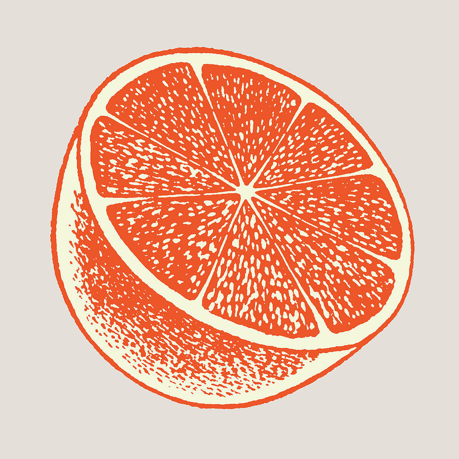 Half of a Grapefruit Drawing by CSA Images - Fine Art America