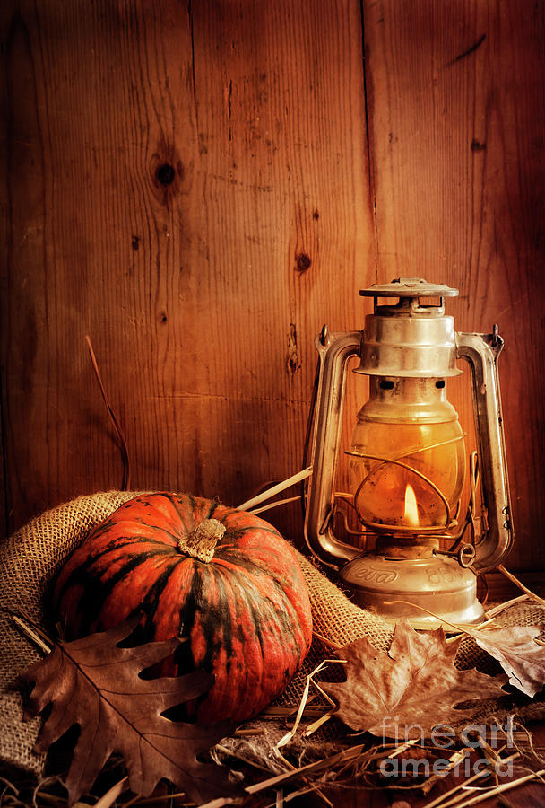 Pumpkin Photograph - Halloween Compositin #1 by Jelena Jovanovic