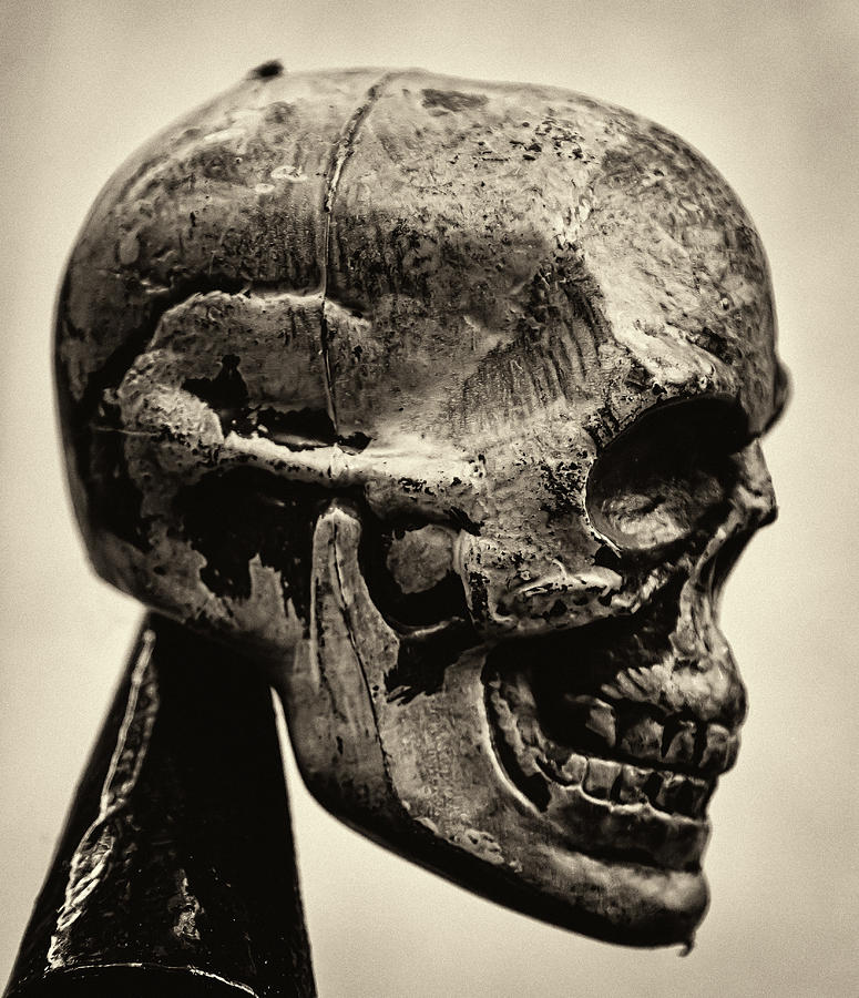 Halloween Decoration - Skull #1 Photograph by Robert Ullmann