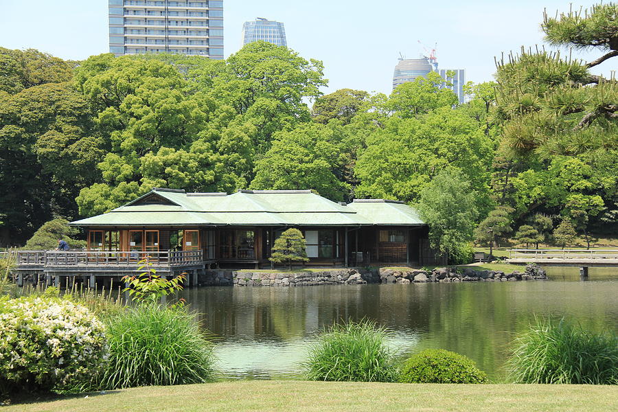 Hamarikyu Gardens Tokyo Photograph By Richard Krebs
