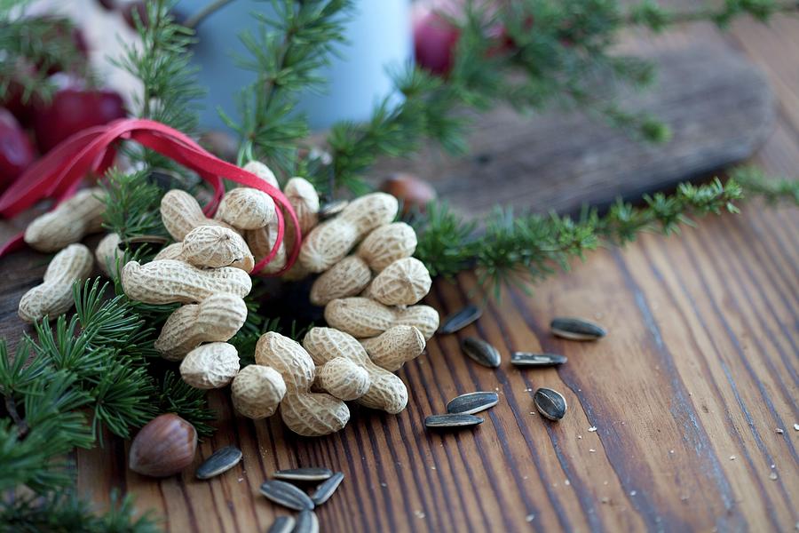 Hand-made Wreath Of Peanuts For Feeding Birds #1 Photograph by Martina Schindler