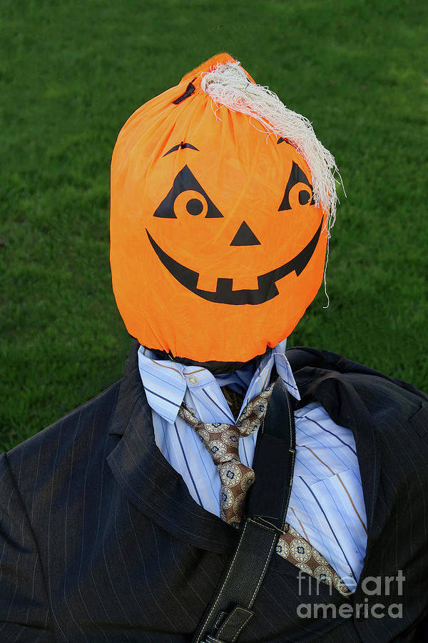 Handsome Pumpkin Head Photograph by Ann Horn