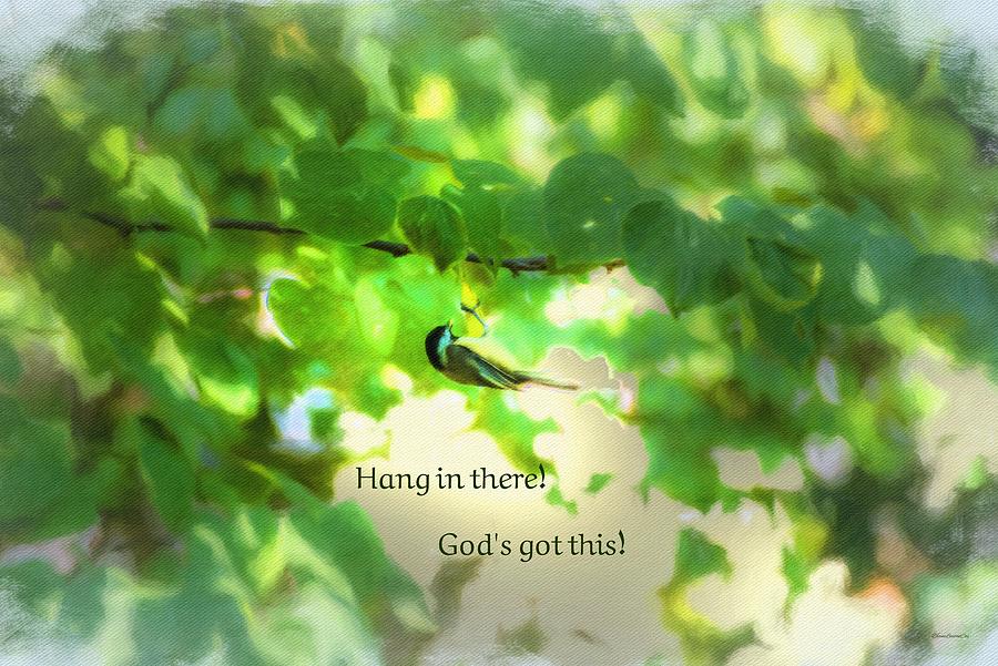 Hang In There #2 Photograph by Diane Lindon Coy