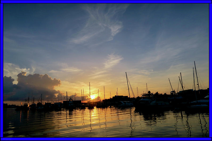 Alligator Photograph - Harbour Daybreak #1 by Artist Laurence