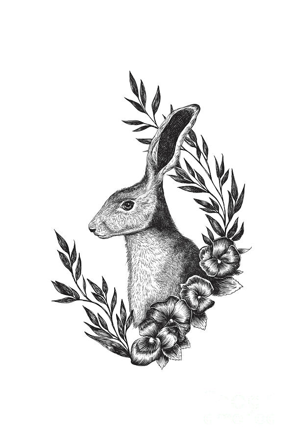 Black And White Digital Art - Hare #1 by Randoms Print